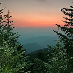 Meet your Posher, Ava